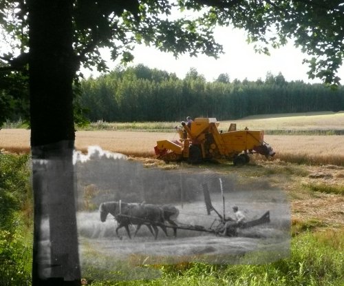 Image by Pekka Aarnio
